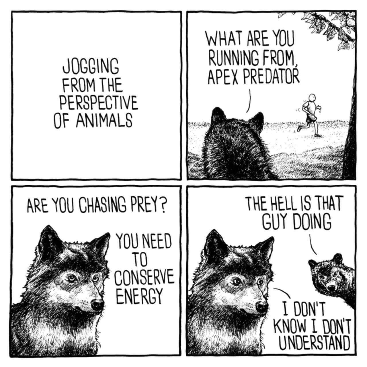 l7huskZ.jpeg
