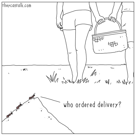 X5pxIl3.jpg