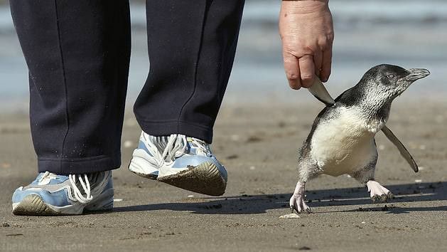 GoingForAWalk.jpg