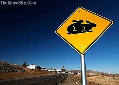 FunnyStreetSigns%20(8).jpg