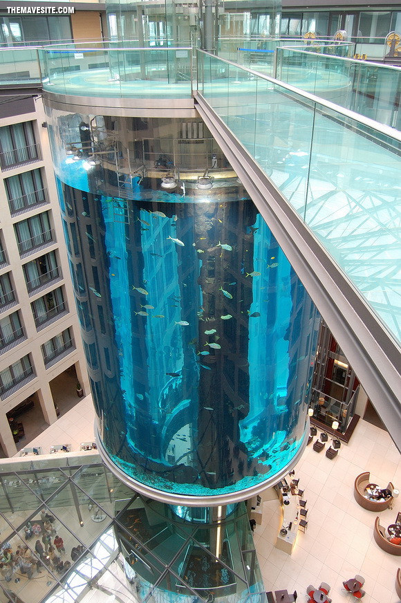 ElevatorAquarium.jpg