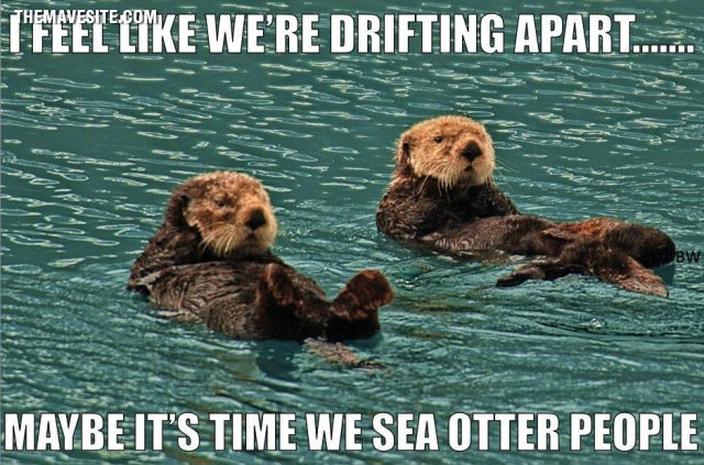 IFeelLikeWereDriftingApart.jpg