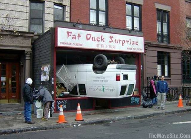 FatDuckSurprise.jpg