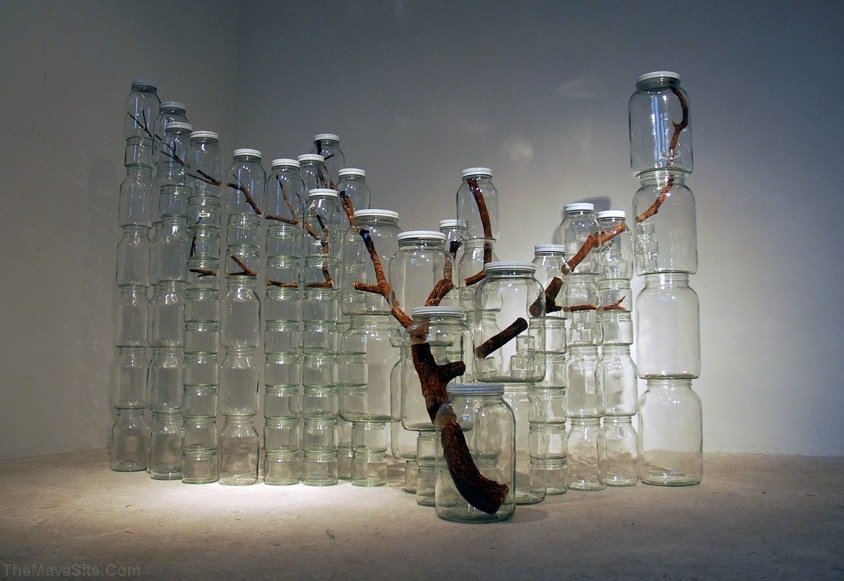 TrappedNature.jpg