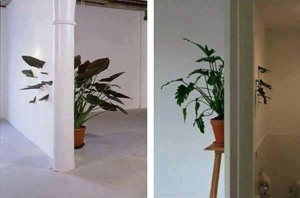 85bllXk.jpg