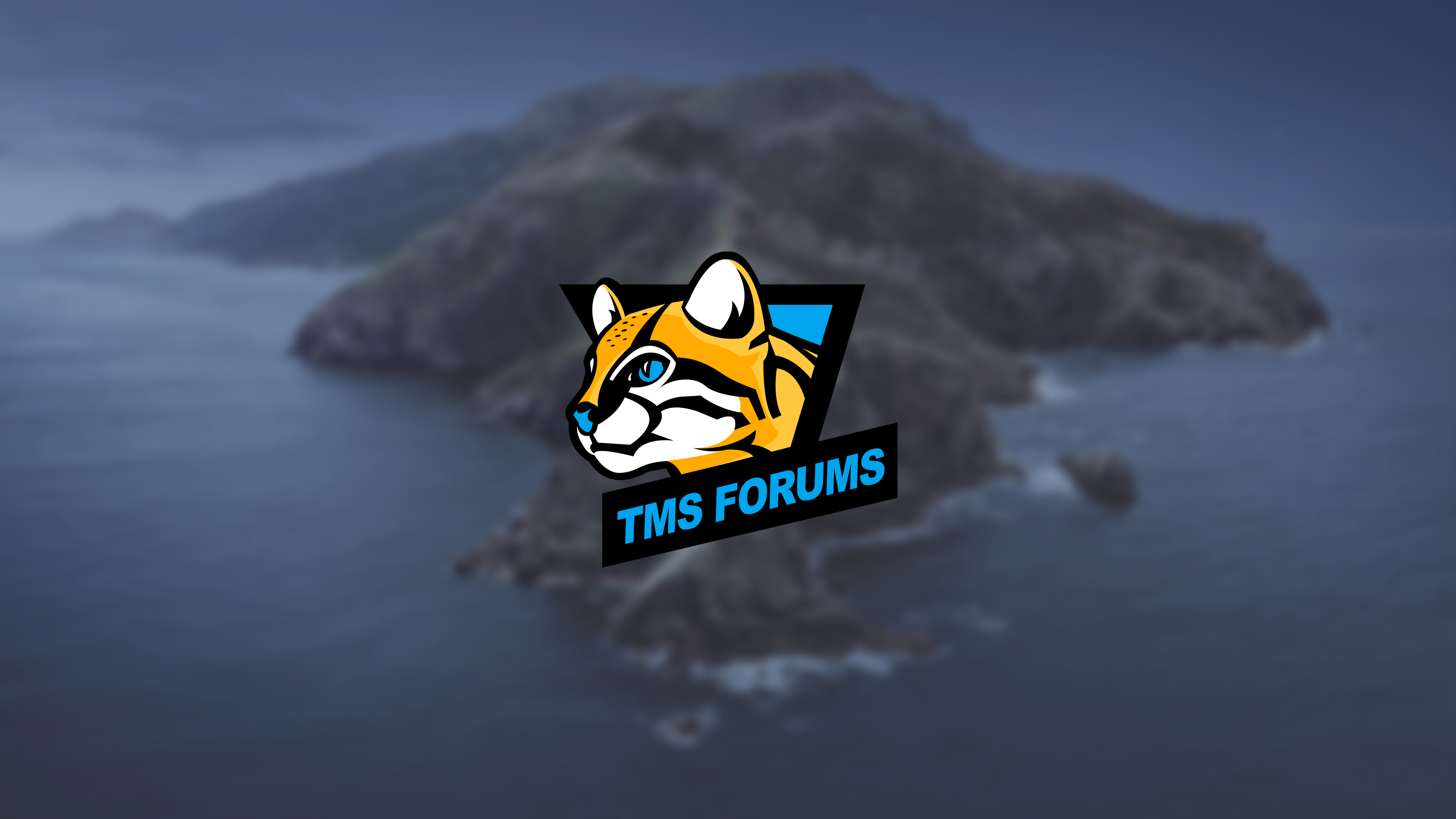 TMS Forums Logo Wallpaper Island.jpg