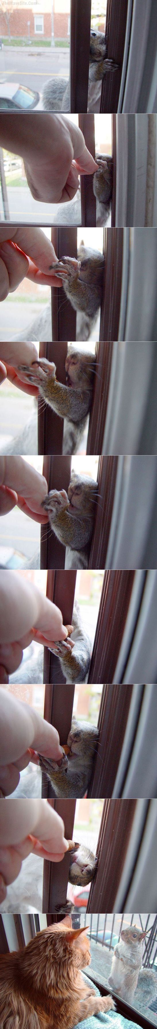 Nuts.jpg