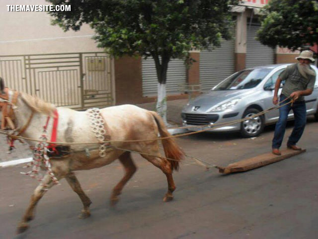 StreetSurfer.jpg