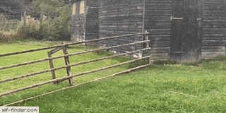 r10xxhL.gif