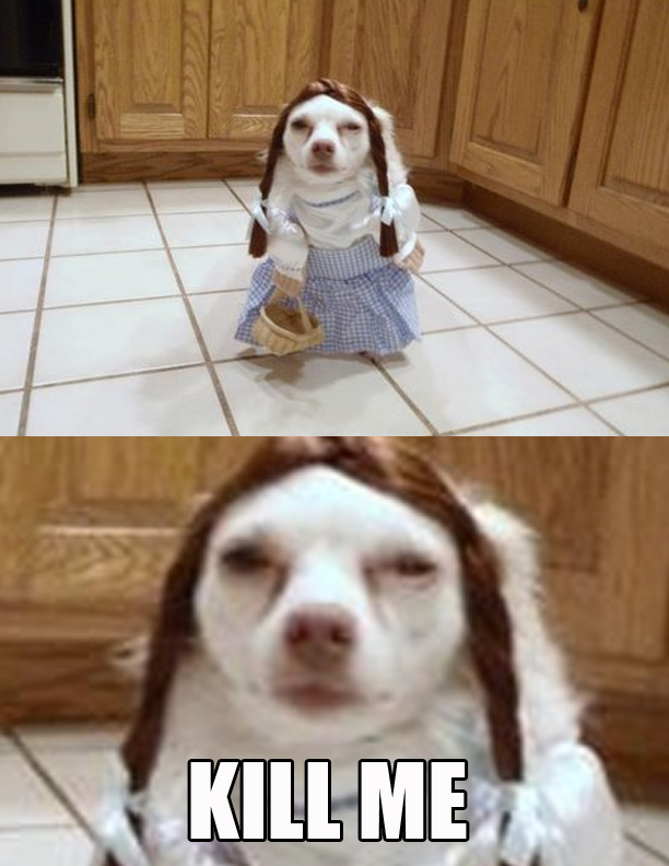 ZFkcqTf.jpg
