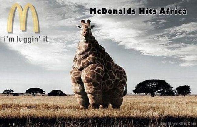 McDonaldsHitsAfrica.jpg