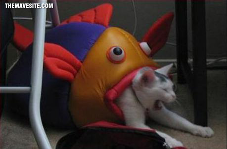 Heeeeeeelp.jpg