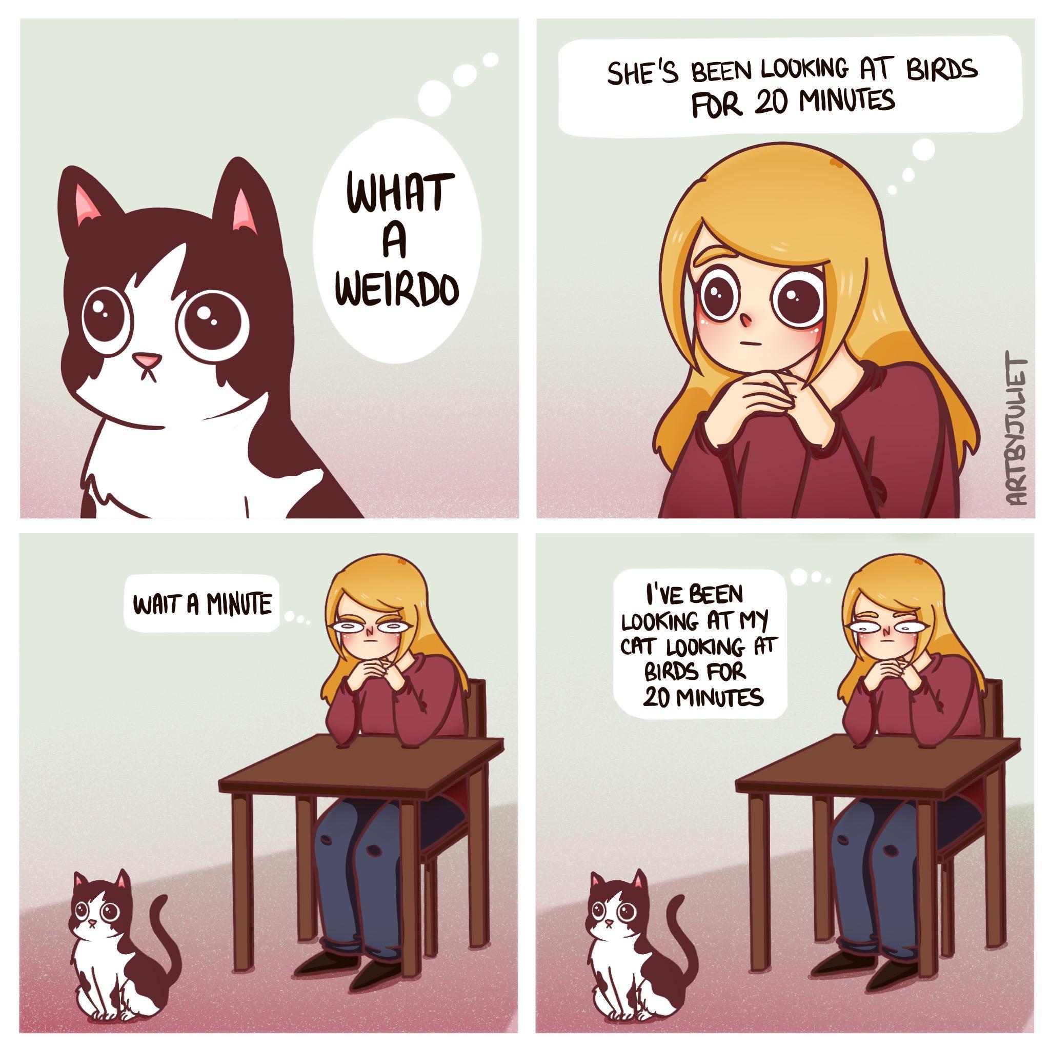 wIBN51d.jpeg