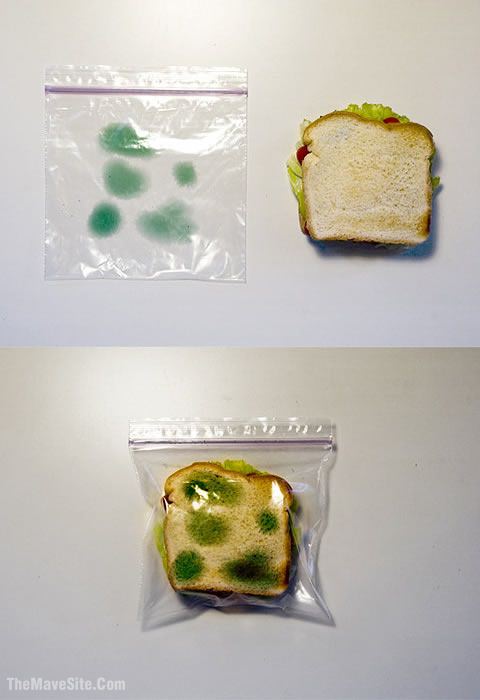 Anti-TheftLunchBag.jpg