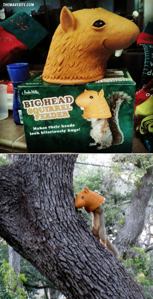 SquirrelFeeder.jpg