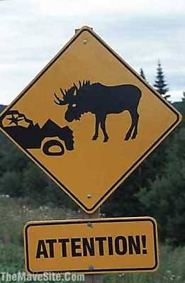 FunnyStreetSigns%20(48).jpg