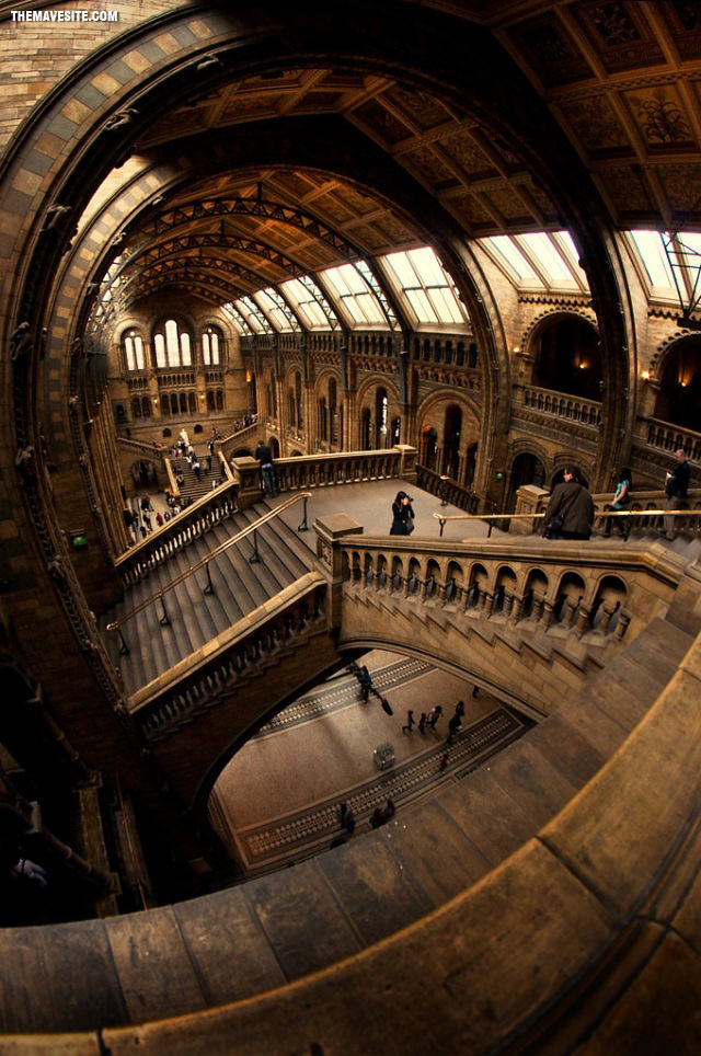 TheNaturalHistoryMuseum%2cLondon.jpg