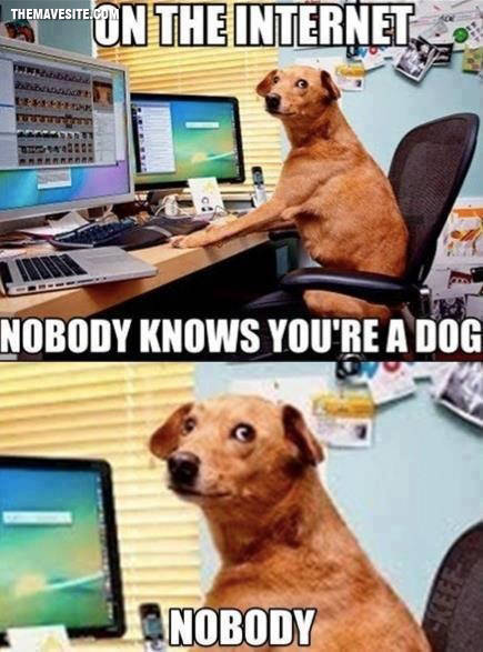 Nobody.jpg