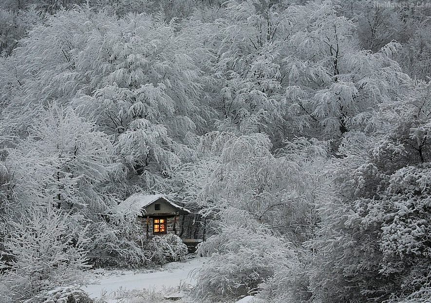 Snow.jpg