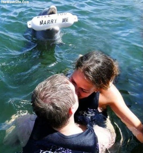 ThatsWhatYouCallAProposal.jpg