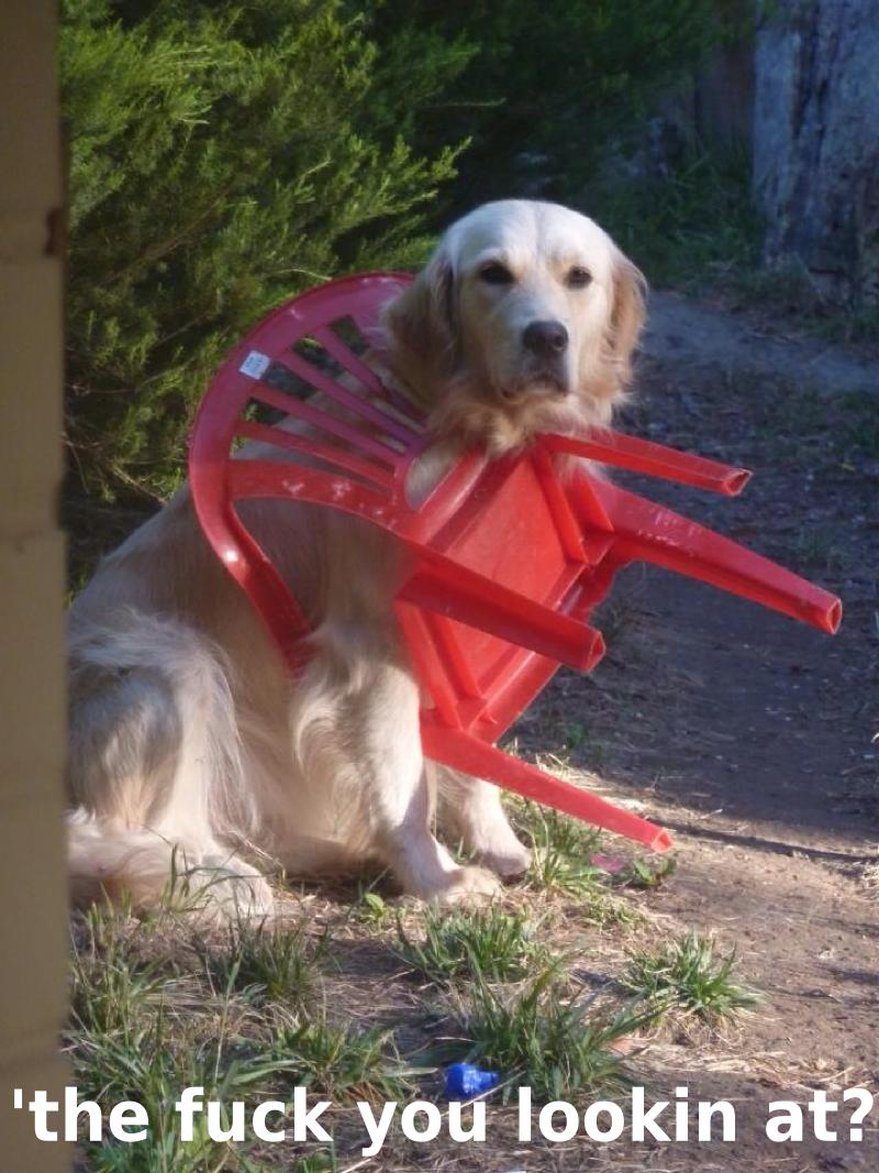 RxBK6Ka.jpg