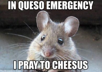 SpiritualMouse.jpg