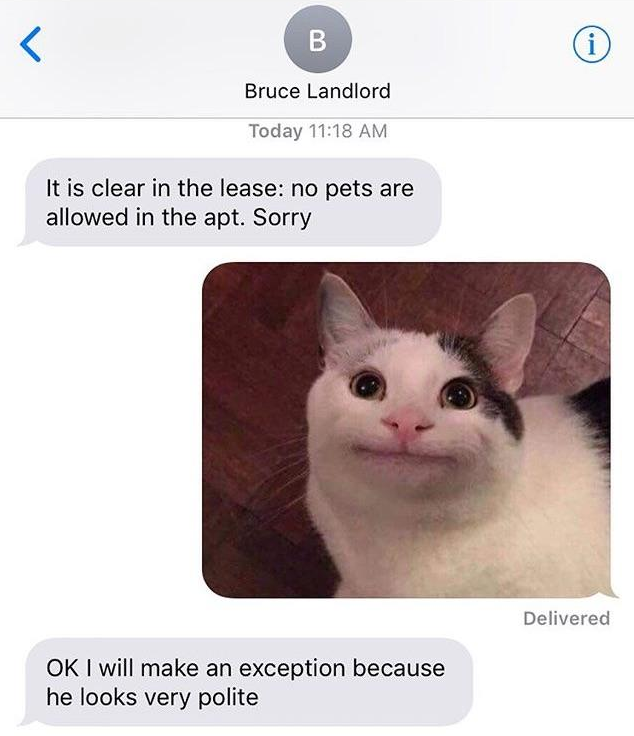 7ZvNhCr.png