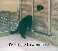 Wormhole.jpg
