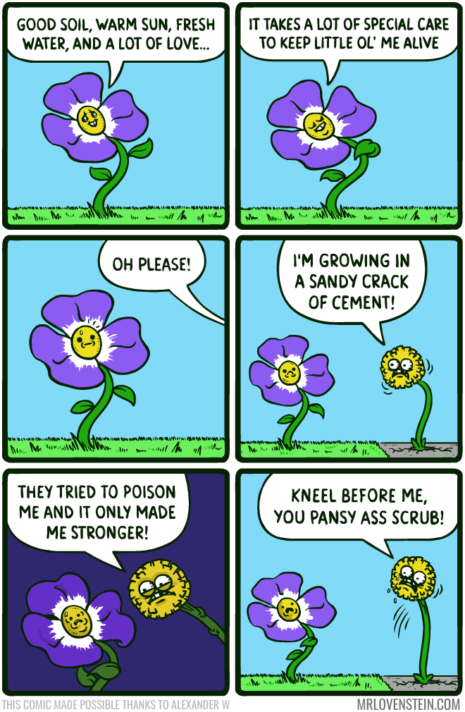 dfln7df.png