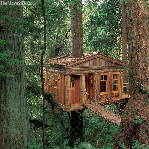 Treehouse.jpg