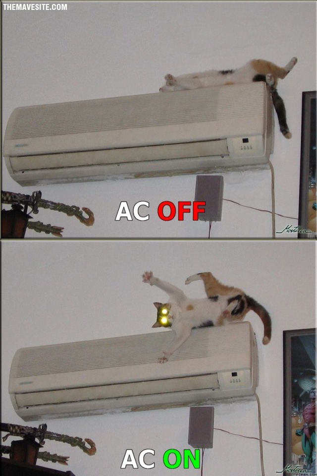 ACOfVSACOn.jpg