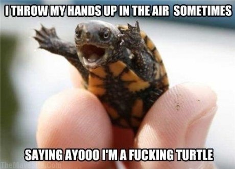 IThrowMyHandsUpInTheAirSometimes.jpg