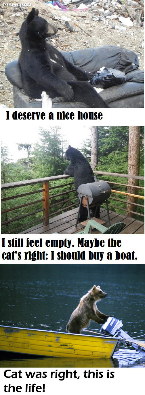Bears.jpg