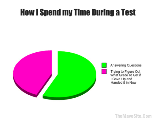 HowISpendMyTimeDuringATest.png