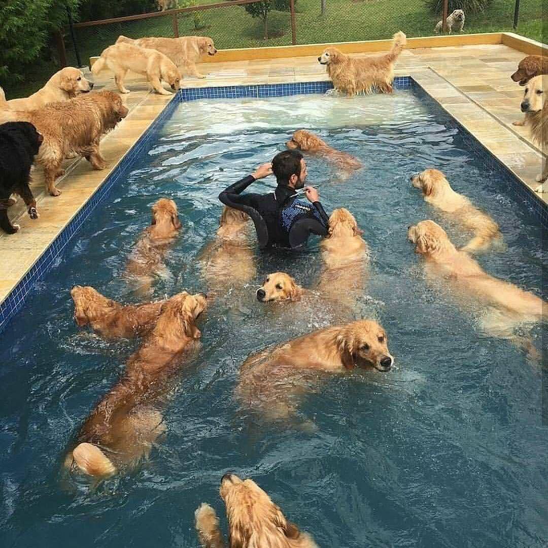 DAzti2k.jpg