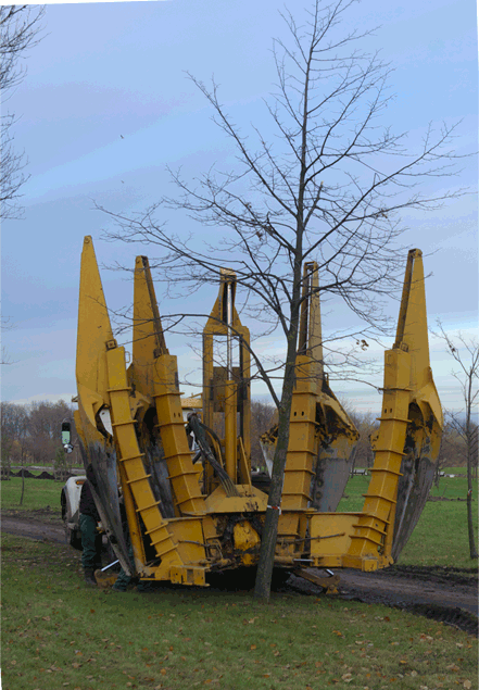TreeRemoval.gif
