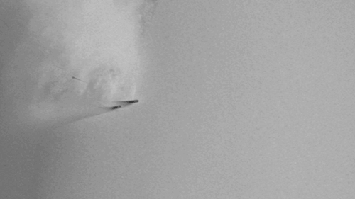 z81ve6u.gif