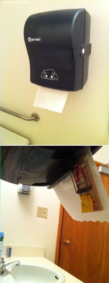 PaperTowelsPrank.jpg
