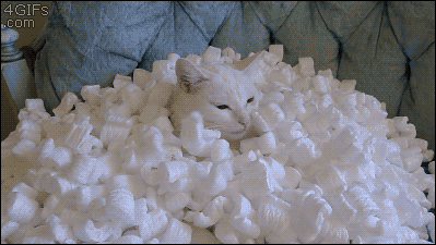 F6yxJDB.gif