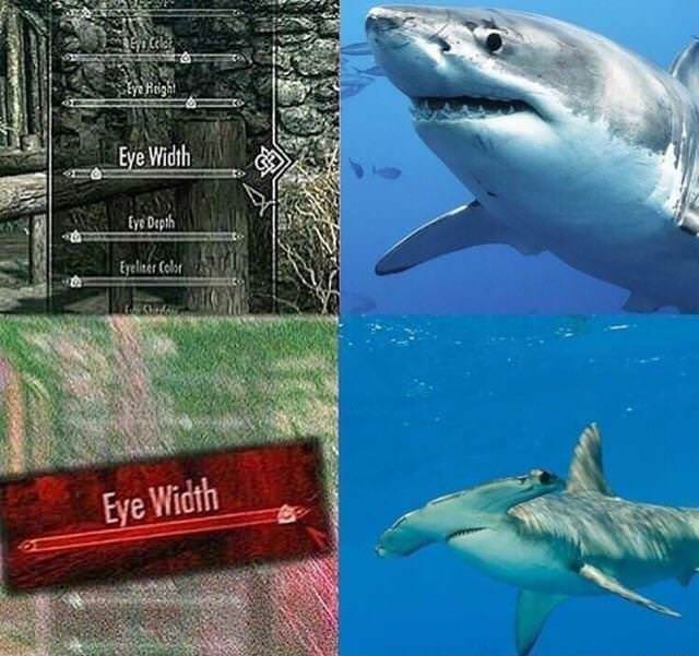 bDLUPi7.jpg