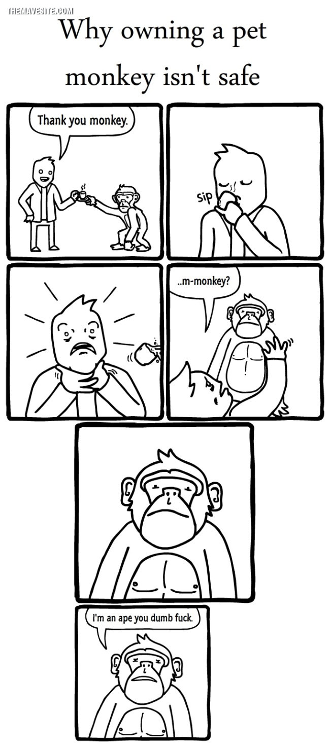 WhyOwningAPetMonkeyIsntSafe.jpg
