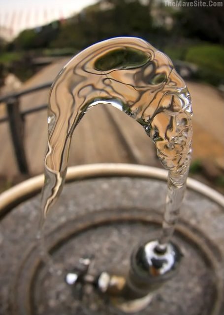 Water.jpg