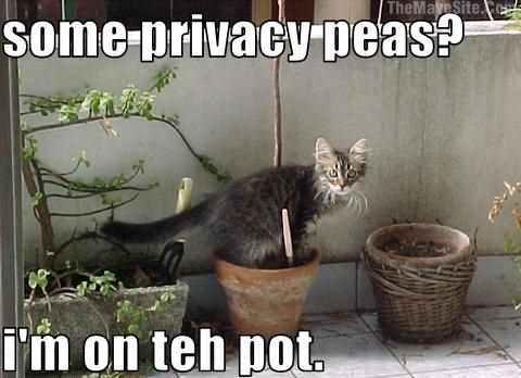 SomePrivacyPeas.jpg