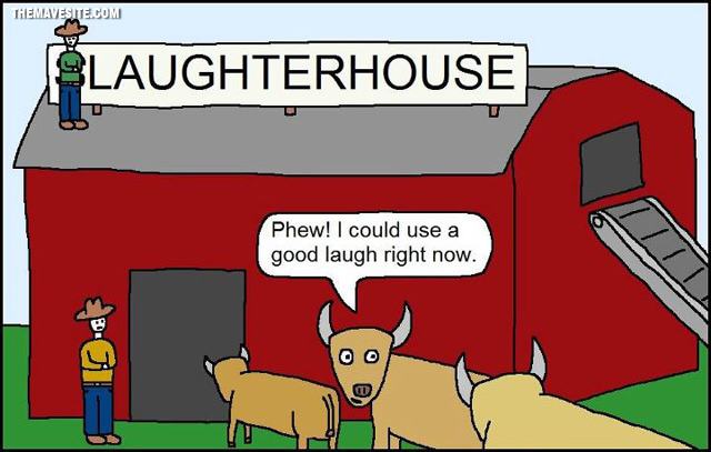 Laugtherhouse.jpg