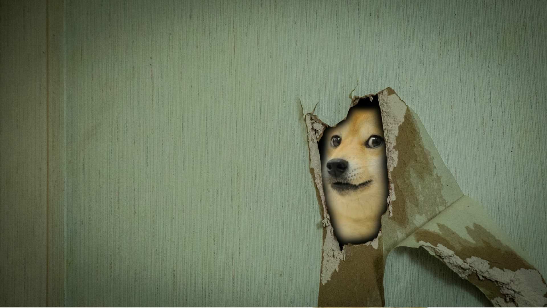 QJNBYgT.jpg
