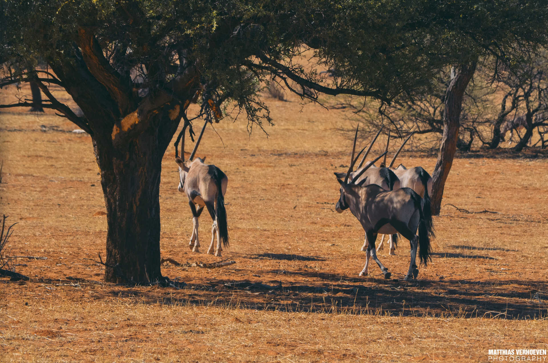 NAMIBIA2017%20(8).jpg