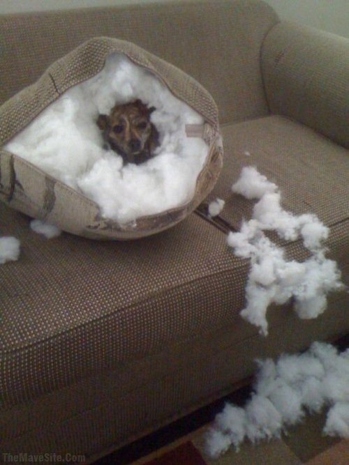 IHasACloud.jpg