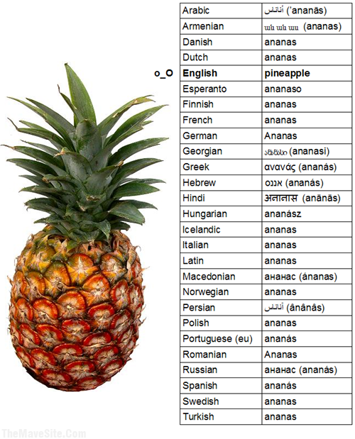 ReallyEnglishLanguage.png