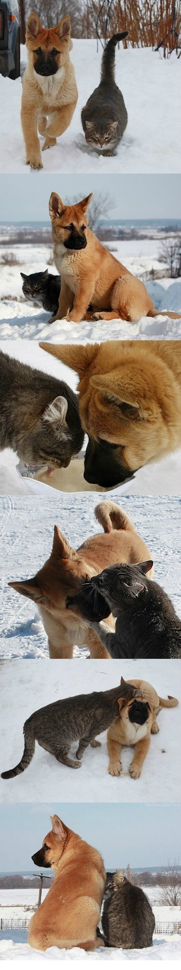 Friends.jpg