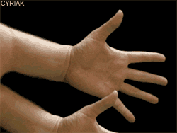 qeAar37.gif